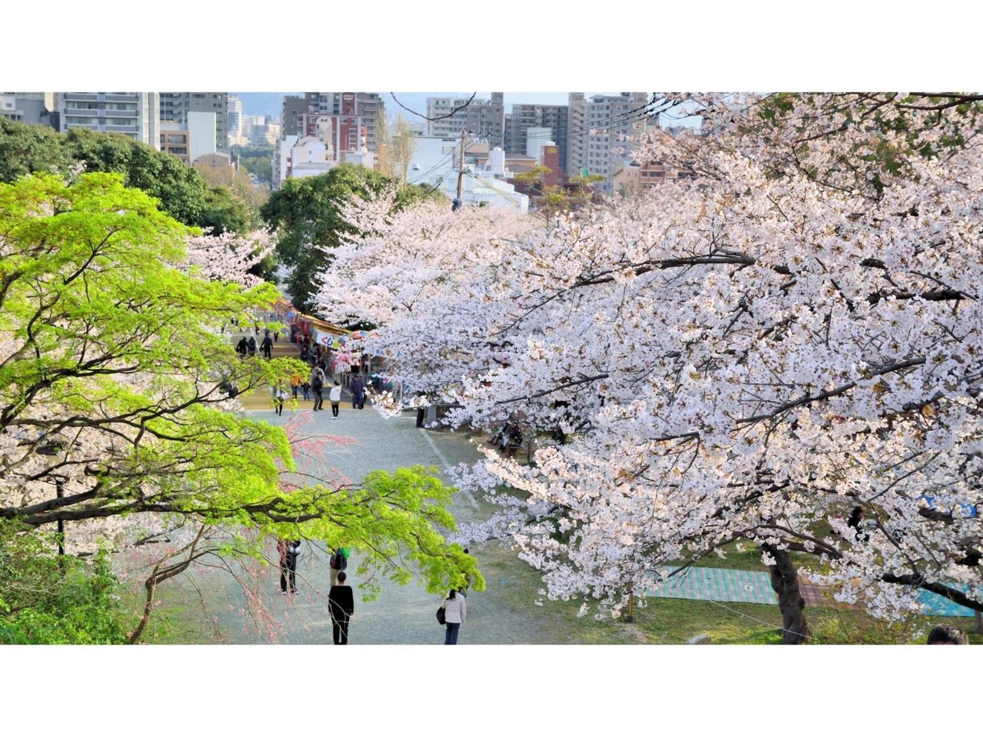 ビジネス旅館オタマヤ 仙台市 エクステリア 写真